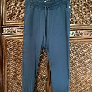 Free People Movement Royal Blue sweatpants.